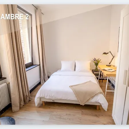 Cozy Apartment, A Short Walk To Place Stan Apartmán Nancy